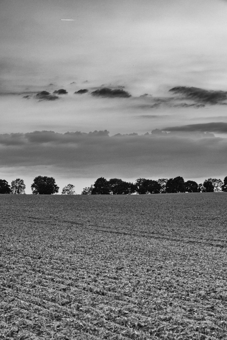 Horizontlinie – Stille auf dem Feld