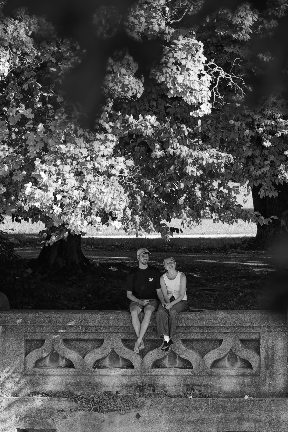 Sommergespräch im Schatten - München