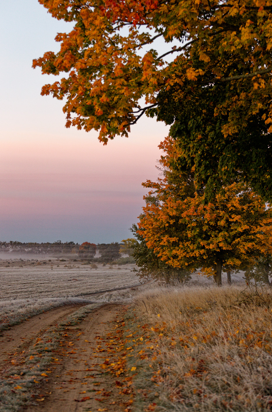 Frostiger Morgen