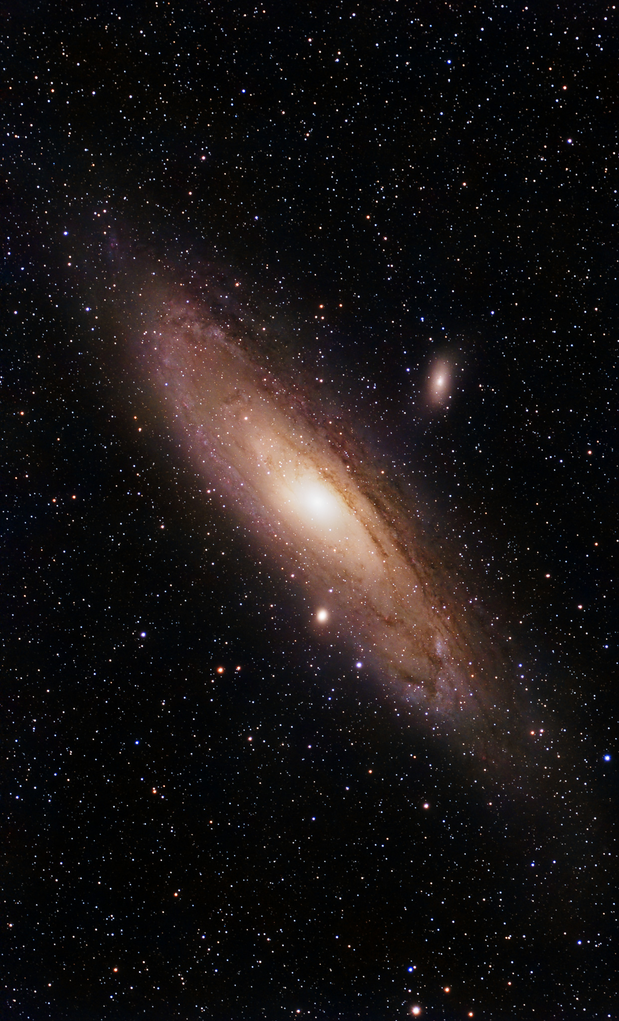 Andromedagalaxie M31 mit M32 und M110