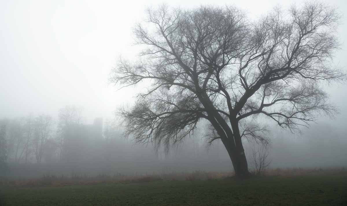Stille