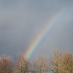 Regenbogen über winterlicher Landschaft