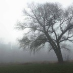Stille