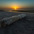 Sonnenuntergang am Meer – Treibholz im letzten Licht