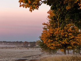 Frostiger Morgen