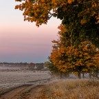 Frostiger Morgen