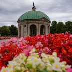 Blumenmeer am Dianatempel – München