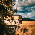 Stillstand am Feldrand