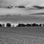 Horizontlinie – Stille auf dem Feld